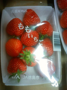 201001170837000.jpg