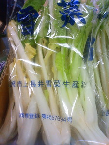 201001170840000.jpg