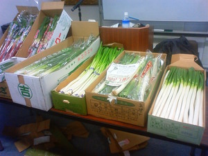 201001170840002.jpg