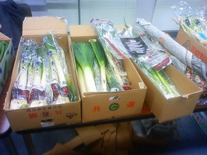 201001170841000.jpg