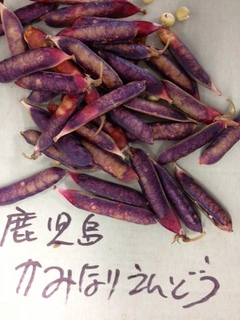 ݂Ȃ肦ǂ@Y.JPG