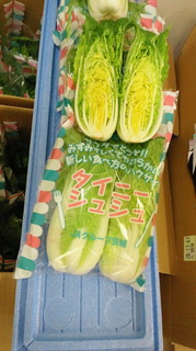 タイニーシュシュ.jpg