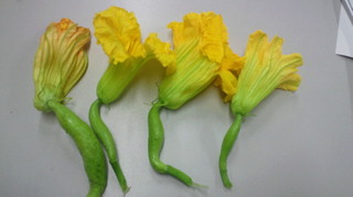 Sm@.jpg