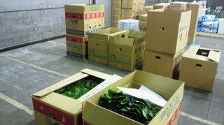 金港 青菜売り場.jpg