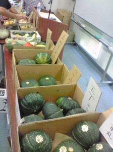 NEC_2090.jpg